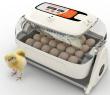 Rcom King Suro 20 incubator with auto temp, humidity and cradle eggs turning. Free USA Shipping .auto-style2 { font-family: Arial, Helvetica, ...